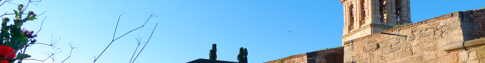 tira_01_r2_20180701_183736_0264.jpg